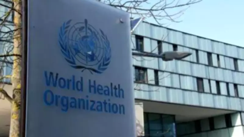 WHO Reports 22.1 Million Excess Deaths Globally Due to COVID-19 Pandemic