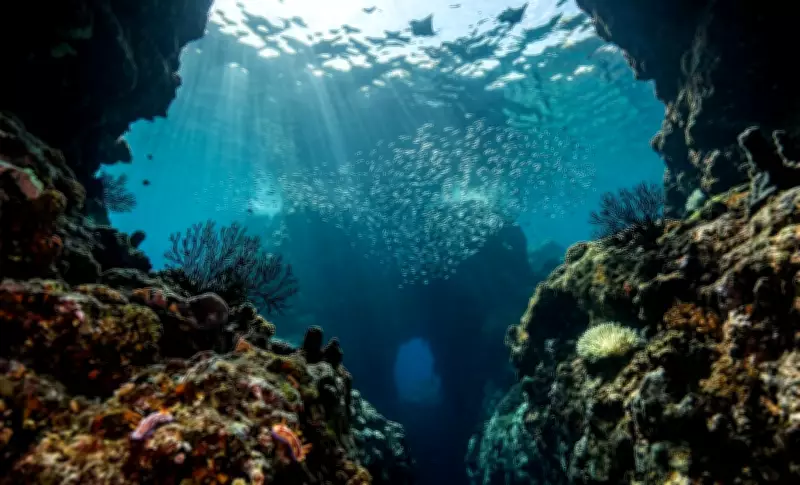 Why All Five Deepest Ocean Trenches Are in the Pacific