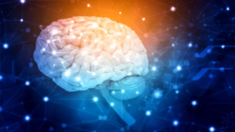 Why Brain Health Is Urgent Priority for G7 Member Countries