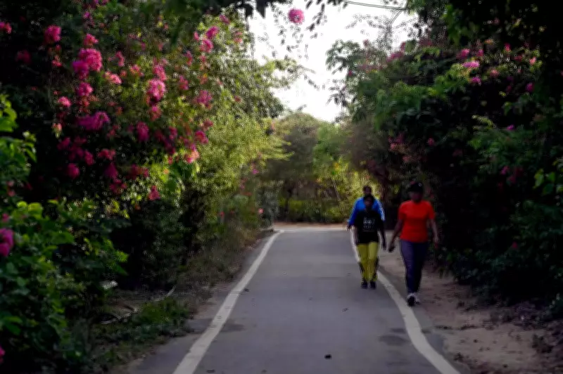 Why Delhi's Green Ridge Is Hottest Despite Lush Greenery