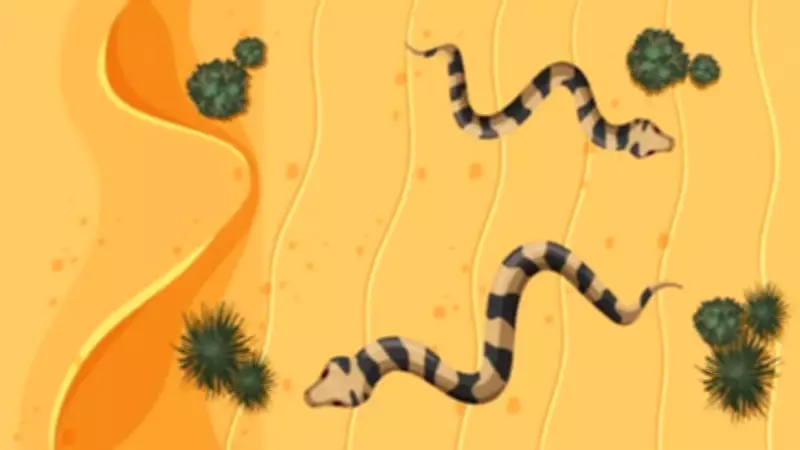 Why Desert Snakes Move Sideways and Leave Mysterious J-Shaped Tracks