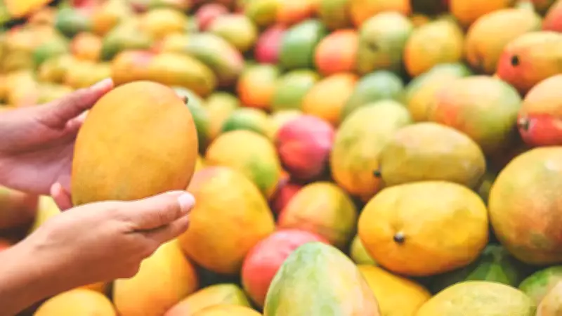 Why Japan Banned Indian Mangoes: Affected Varieties and Reasons