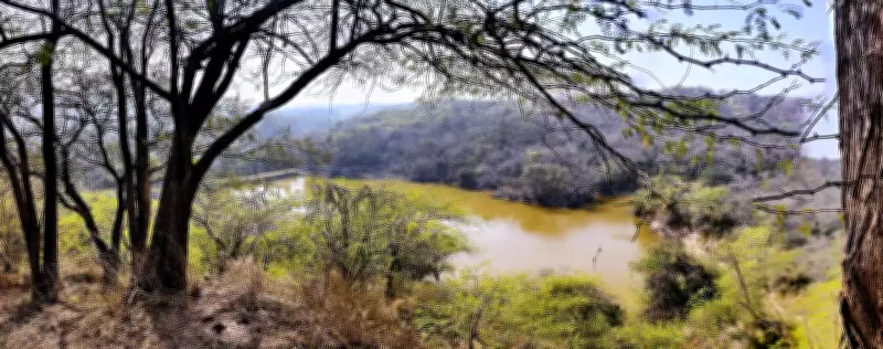 Wildlife Survey Reveals Major Biodiversity Surge in Sukhna Sanctuary
