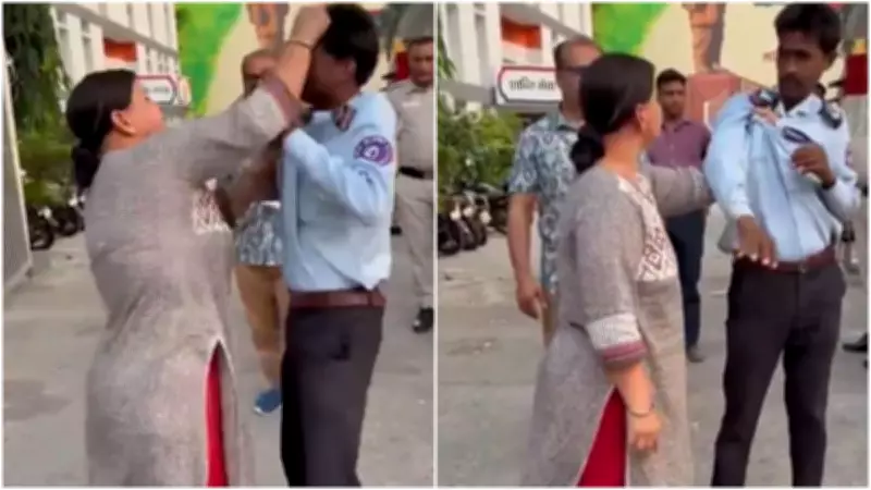 Woman Animal Rights Activist Assaults Guard Over Stray Dog Attack in West Delhi