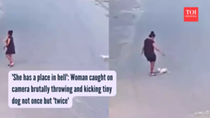 Woman Arrested for Throwing and Kicking Small Dog on Camera in Florida