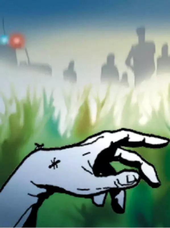 Woman Beaten to Death by Husband Over Infidelity Suspicion in Amravati