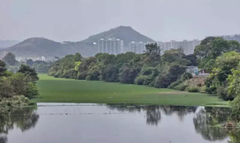 Woman Call Centre Employee Found Dead in Pune's Mula-Mutha River