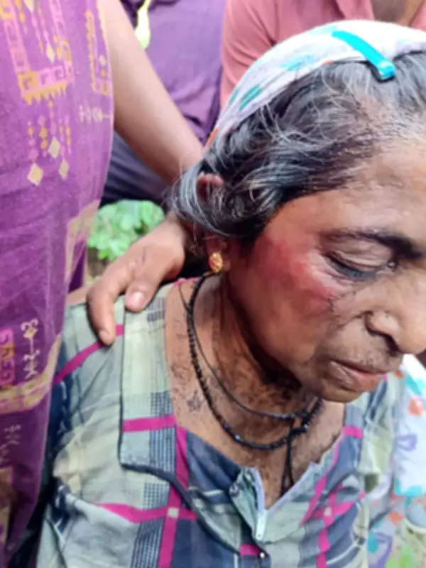 Woman Seriously Injured in Wild Elephant Attack in Madikeri