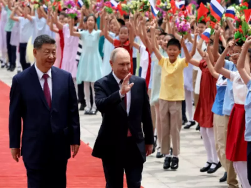 Xi Jinping and Putin Hold In-Depth Talks at International Summit