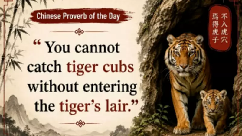 You Cannot Catch Tiger Cubs Without Entering the Tiger's Lair: A Chinese Proverb on Courage