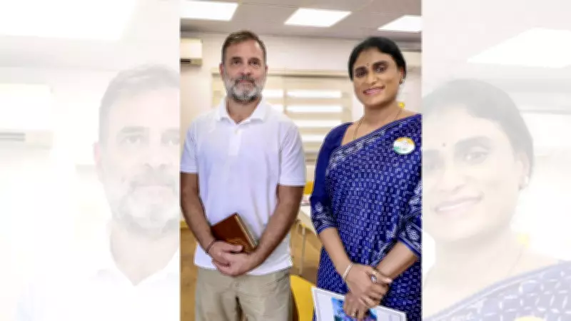 YS Sharmila Meets Rahul Gandhi, Kharge Amid Rajya Sabha Nomination Buzz