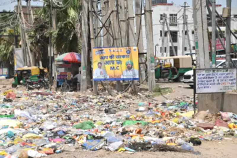 Zirakpur Sanitation Workers Dump Garbage at Public Locations Amid Strike
