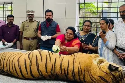 11-Year-Old Tigress Dies at Thiruvananthapuram Zoo Due to Pneumonia and Liver Disease