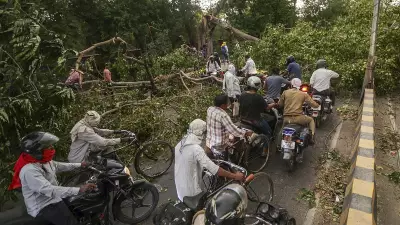 56 Killed as Storm and Rain Batter Uttar Pradesh; CM Orders Relief