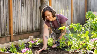 7 Surprising US Garden Rules You Probably Didn't Know