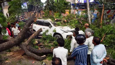 89 Killed in Uttar Pradesh Thunderstorms, Lightning and Strong Winds