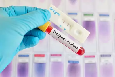 Amritsar Health Dept Launches Dengue Campaign Every Friday
