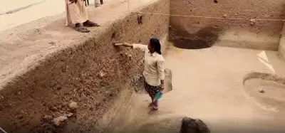 Archaeologist P J Cherian Urges Congress to Resume Pattanam Excavations