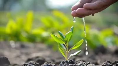 BDA Aims Guinness Record with 1.5 Million Saplings on June 5