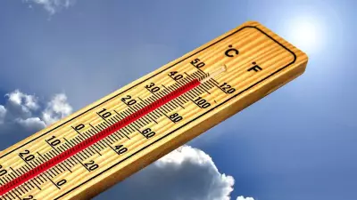 Beat the Heat: Smart Home Tips to Keep Your Room Cool Without AC