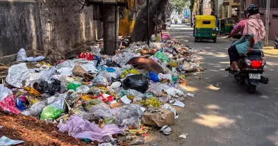Bengaluru's 4-bin waste plan faces early hurdles amid system gaps