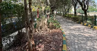 Bengaluru's Puttenahalli Lake: From Green Haven to Worry Spot