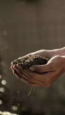Buxar Agriculture Dept Targets 3,090 Soil Tests for 2026-27