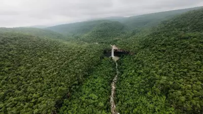 Chhattisgarh Forests Contribute Rs 1.41 Lakh Crore Annually: TERI Study