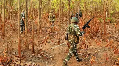Chhattisgarh HC Upholds Acquittal of 10 Accused in 2010 Naxal Attack Case
