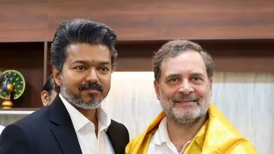 Congress to Get Two Cabinet Berths in TVK-Led TN Government