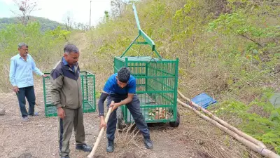 Corbett Tiger Reserve Zone Shut Indefinitely After Two Tiger Attacks in a Month