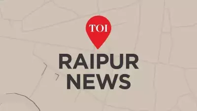 Crop Damage Compensation Formula Needs Revision: Expert to Chhattisgarh Govt