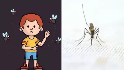 Delhi Dengue Surge: Children at Severe Risk, Prevention Tips