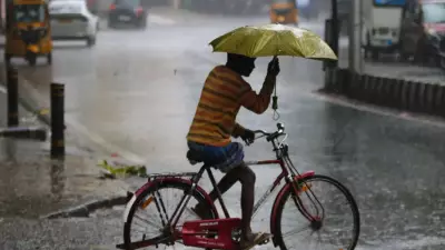 Delhi-NCR Braces for Rain, Thunderstorms and Gusty Winds This Week
