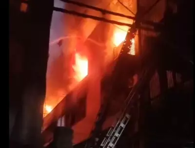 Delhi Shahdara Fire: 9 Killed in Early Morning Blaze at Residential Building
