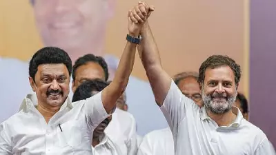 DMK Escalates Attack on Congress Amid Alliance Talks with Vijay's TVK