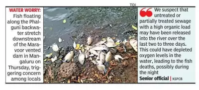 Fish Death in Mangaluru Phalguni River Triggers Probe by KSPCB
