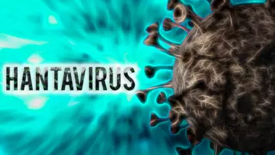 French Woman Critically Ill in Hantavirus Outbreak on Cruise Ship