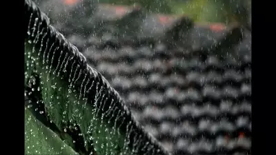 Goa Gets Brisk Showers, Heatwave Persists with Temperatures Above 36°C