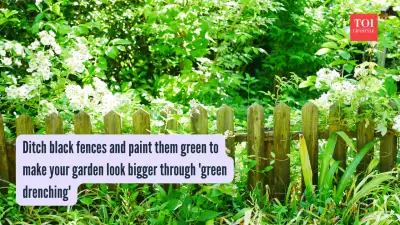 Green Fences: 2026's Garden Trend for Calm, Larger-Looking Yards