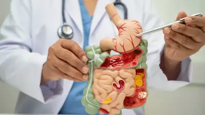 Harvard Doc Reveals 10-Minute Fix for Sluggish Digestion Without Supplements