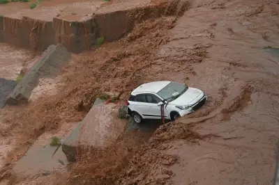Haryana Prepares for State-Level Flood Mock Exercise on May 14