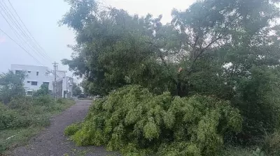 Heavy Rains Lash Old Mysuru Region, Doora Records 51mm Rainfall