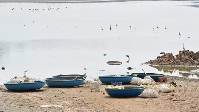 Hebbal Lake Wetland in Bengaluru to Complete in a Month: Minister