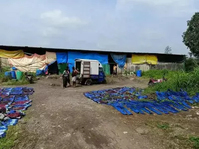 Illegal Jeans Dyeing Units Resurface in Kalyan Rural Areas, Sparking Environmental Concerns