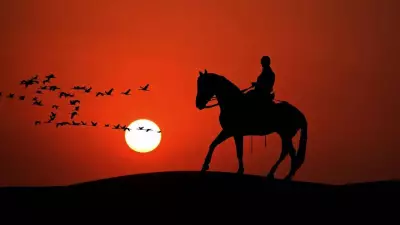Legends of Loyalty: Animals That Defined Devotion and Sacrifice