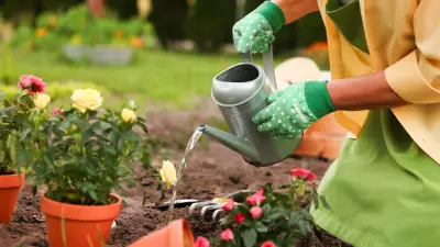 Low-Maintenance Plants for a Fresh Green Home Without Effort