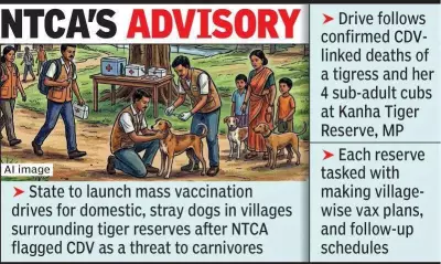 Maharashtra Orders Dog Vaccination in Tiger Reserve Areas After CDV Threat