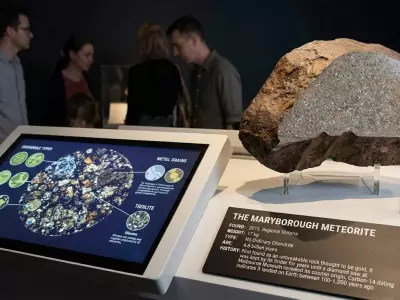 Man's 17-Year-Old 'Gold Rock' Turns Out to Be Rare 4-Billion-Year-Old Meteorite