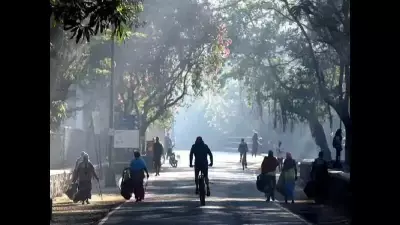 Mumbai Park Fee Hike, Gate Closure Sparks Outrage Among Walkers